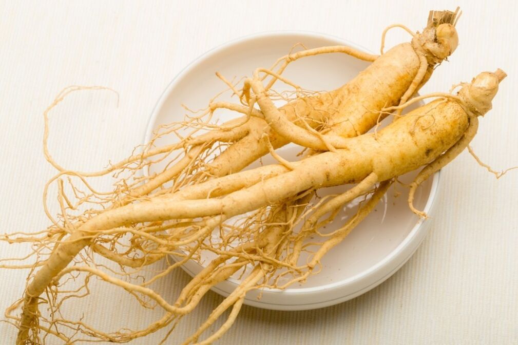 Ginseng ildizi jinsiy olatni kattalashtiradigan damlamaning asosidir